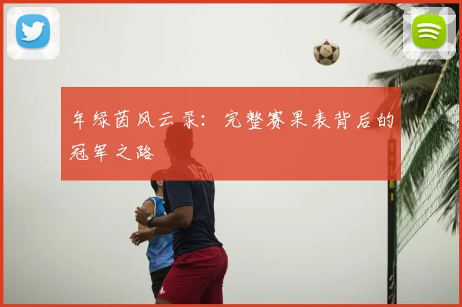 年绿茵风云录:完整赛果表背后的冠军之路